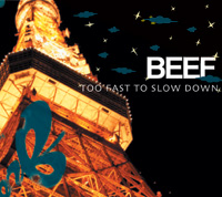 TOO FAST TO SLOW DOWN